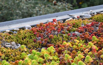 the cost of Hook Heath green roof installation