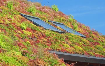 Hook Heath living roof systems